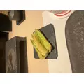 あかり|渋谷区 宇田川町のキャバクラ|BABEL(バベル)