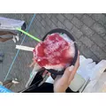 せり|渋谷区 宇田川町のキャバクラ|BABEL(バベル)
