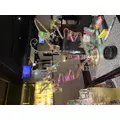 まゆ|さいたま市 大宮区仲町のキャバクラ|Luxe(ラグゼ)