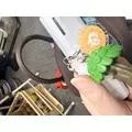 えみ|長崎市 本石灰町のニュークラブ|ADANSONIA(アダンソニア)
