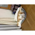 沓澤 愛怜那|さいたま市 大宮区仲町のキャバクラ|Luxe(ラグゼ)
