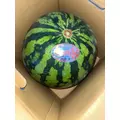 ナミ|海部郡 蟹江町錦のキャバクラ|carthago(カルタゴ)