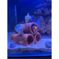 ナミ|海部郡 蟹江町錦のキャバクラ|carthago(カルタゴ)