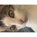 ゆう|長崎市 銅座町のキャバクラ|QUEEN(クイーン)