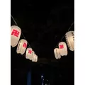あおい|長崎市 銅座町のガールズバー|G291(ジーニクイチ)