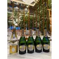 芹沢 莉瀬|札幌市 中央区南のニュークラブ|Leicester(レスター)