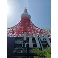 いおり|小田原市 栄町のガールズバー|& Co.(アンドコー)