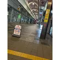 西蓮寺 ひかる|札幌市 すすきののニュークラブ|P&J(ピーアンドジェイ)