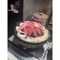 西園寺 ゆきみ|札幌市 中央区南のニュークラブ|Leicester(レスター)