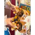 むぅ|宮崎市 中央通のコンカフェ|Candy Made(キャンディーメイド)