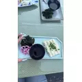 佐野 エマ|札幌市 中央区南のニュークラブ|Leicester(レスター)