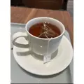 空条 しいな|札幌市 すすきののニュークラブ|P&J(ピーアンドジェイ)