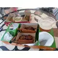 うみ|足立区 千住のキャバクラ|Donfin(ドンフィン)