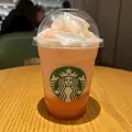 白咲 澪|札幌市 すすきののニュークラブ|Fillia(フィリア)