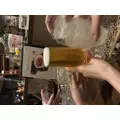 あや|長崎市 本石灰町のニュークラブ|ADANSONIA(アダンソニア)