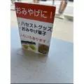 空条 しいな|札幌市 すすきののニュークラブ|P&J(ピーアンドジェイ)