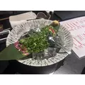 潤|長崎市 銅座町のキャバクラ|QUEEN(クイーン)