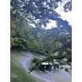 成海 まお|札幌市 すすきののニュークラブ|凛()