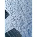 咲良 水月|札幌市 すすきののニュークラブ|Fillia(フィリア)