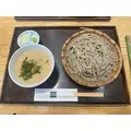 ましろ|船橋市 本町のキャバクラ|Donfin(ドンフィン)