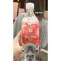 Apple|長崎市 船大工町のガールズバー|Gradation(グラデーション)