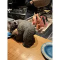 八神 ゆうこ|名古屋市 中区錦のクラブ|色錦()