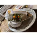 ゆき|茅ヶ崎市 新栄町のキャバクラ|TIANOS(ティアノス)