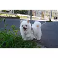 涼風 あき|札幌市 すすきののニュークラブ|Fillia(フィリア)