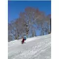 ももこ|大田区 大森北の姉クラブ|Lois(ロイズ)