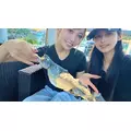 あおい|船橋市 本町のキャバクラ|Donfin(ドンフィン)