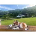 あいら|豊橋市 松葉町のキャバクラ|Club the Club(クラブザクラブ)