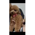 ミヅキ|さいたま市 大宮区仲町のキャバクラ|ai(アイ)