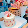 しほ|福岡市 早良区西新のキャバクラ|Make(メイク)