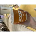 ひめか|長崎市 本石灰町のキャバクラ|AERA(アエラ)