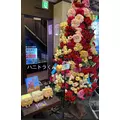 れいな|文京区 湯島のキャバクラ|bisser 上野(ビゼ 上野)