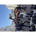 まどか|長崎市 本石灰町のニュークラブ|ADANSONIA(アダンソニア)