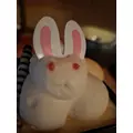 ほのか|福岡市 博多区中州のスナック|HALEMOANA(ハレモアナ)