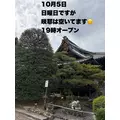 藤本 祐子ママ|長崎市 船大工町のスナック|咲耶(サクヤ)