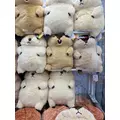 亜未|葛飾区 新小岩のキャバクラ|MARVELOUS(マーベラス)