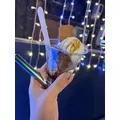 北乃 アリス|旭川市 4条通のニュークラブ|Four Season(フォーシーズン)