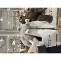 あゆ|長崎市 本石灰町のキャバクラ|AERA(アエラ)