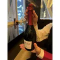 夢咲 さくら|札幌市 すすきののニュークラブ|Fillia(フィリア)