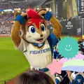 杉谷 ちなみ|札幌市 すすきののニュークラブ|P&J(ピーアンドジェイ)