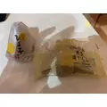 ゆき|宮崎市 中央通のコンカフェ|Candy Made(キャンディーメイド)
