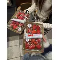 せいか|船橋市 本町のキャバクラ|Donfin(ドンフィン)