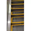 せら|船橋市 本町のキャバクラ|Donfin(ドンフィン)