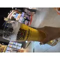 あや|長崎市 本石灰町のニュークラブ|ADANSONIA(アダンソニア)