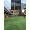らん|船橋市 本町のキャバクラ|Donfin(ドンフィン)