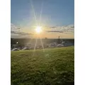成海 まお|札幌市 すすきののニュークラブ|凛()