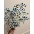 美月|都城市 牟田町のキャバクラ|Jardin(ハルディン)